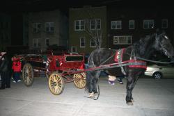 Horse & Carriage Rides