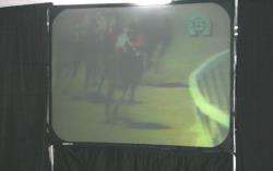 Video Horse Racing